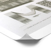 Beispiele für Seide und ägyptische Kostüme, aus "D Poster (Ecke)