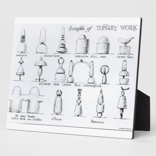 Beispiele für Topiary Work, 1902 (Gravur) (b/w ph Fotoplatte (Seite)