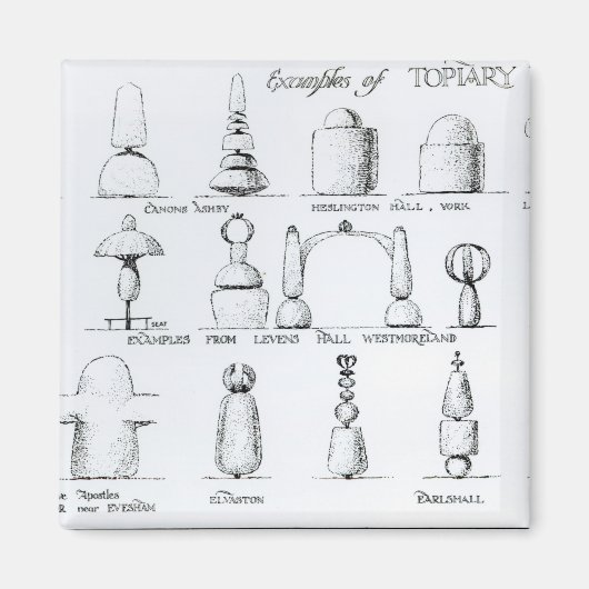 Beispiele für Topiary Work, 1902 (Gravur) (b/w ph Magnet (Vorne)