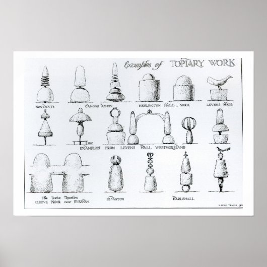 Beispiele für Topiary Work, 1902 (Gravur) (b/w ph Poster (Vorne)