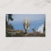 BeispielVisitenkarte Visitenkarte (Rückseite)