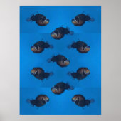 beißen poster (Vorne)