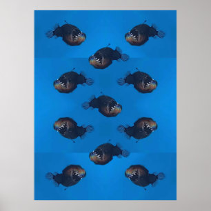 beißen poster