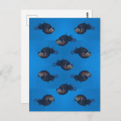 beißen postkarte (Vorne/Hinten)