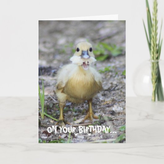 Beißen Sie mehr, als Sie kauen können Karte (Vorderseite)