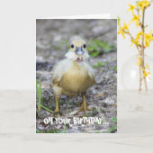 Beißen Sie mehr, als Sie kauen können Karte (Gelbe Blume)