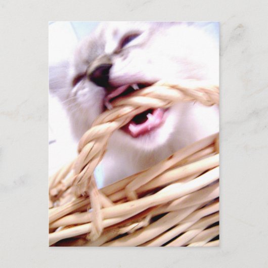 beißende Postkarte (Vorderseite)