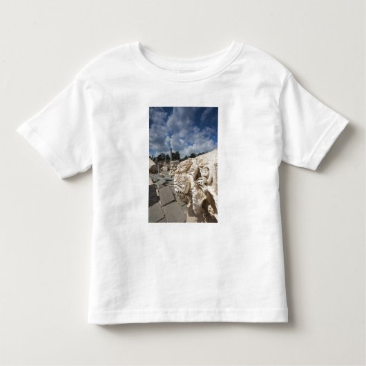 Beit She-an-Nationalpark, Ruinen aus römischer Zei Kleinkind T-shirt (Vorderseite)