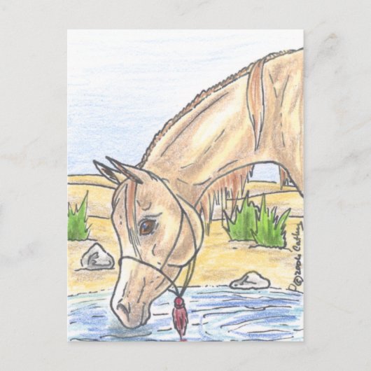 ‚Bejh bint Ahwa‘ Postkarte (Vorderseite)