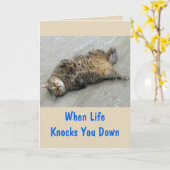 Bekämpfung der Cat-Förderung Karte (Gelbe Blume)