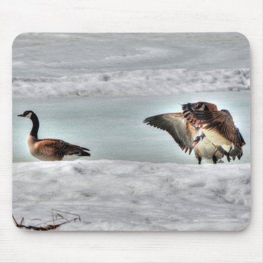 Bekämpfung des Fotos Geese & Snow Mousepad (Vorne)