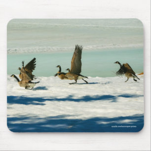 Bekämpfung des Fotos Geese & Snow Mousepad