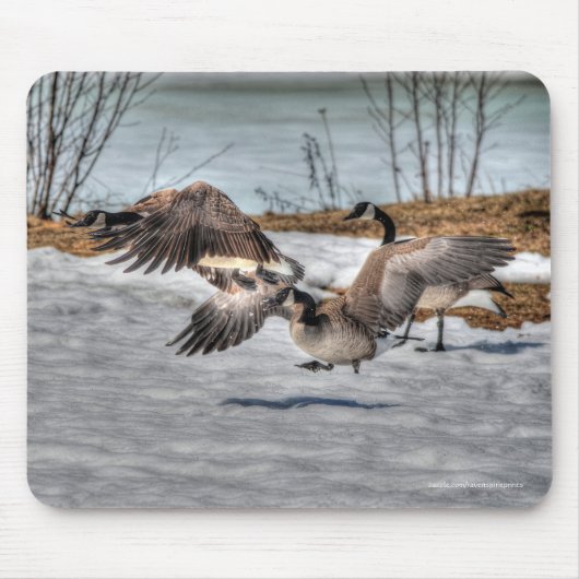 Bekämpfung des Fotos Geese & Snow Mousepad (Vorne)