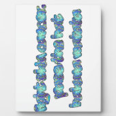 Bekämpfung von Hautkrebs, Übergabe des Hutes, Haku Fotoplatte (Vorderseite)