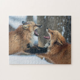 Bekämpfung von zwei Rotfüchsen Puzzle