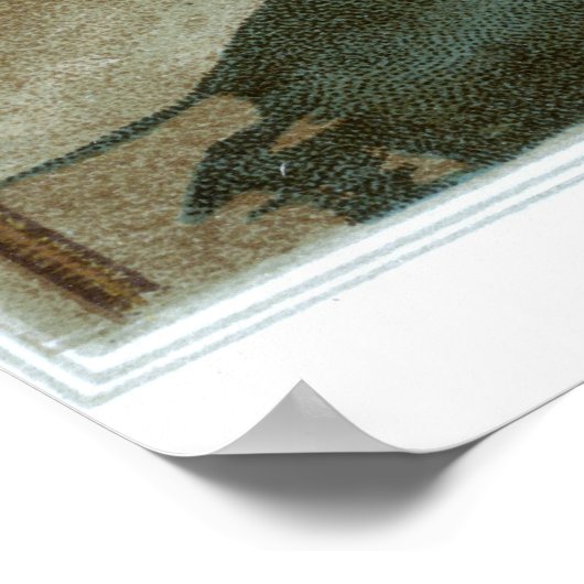 Bekannte Gewerkschaft Battle Flags - Plakat 1 - (Ecke)