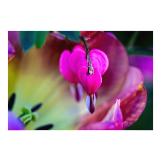 Bekenntnis zur Liebe Fotodruck (Vorne)