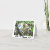 Beklagentauben-Gruß-oder Anmerkungs-Karte #81 Karte (Rückseite)