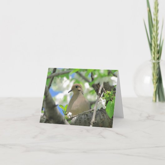 Beklagentauben-Gruß-oder Anmerkungs-Karte #81 Karte (Vorderseite)