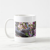 Beklagentauben-Nest, Nistenbeklagentaube Kaffeetasse (Links)