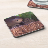 Beklagentauben-Vogelbaby-Tier-Tiere Getränkeuntersetzer (Linke Seite)