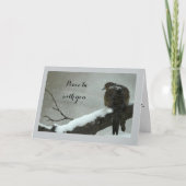 Beklagentauben-Weihnachtskarte Feiertagskarte (Vorderseite)