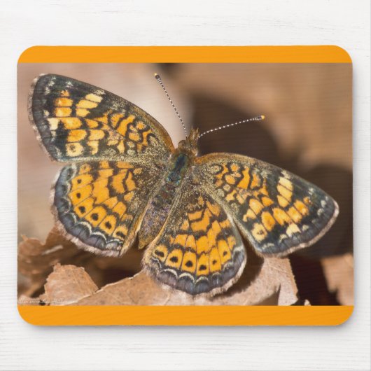 Bekleidung und Geschenke für braune und orangefarb Mousepad (Vorne)