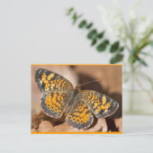 Bekleidung und Geschenke für braune und orangefarb Postkarte (Stehend Vorderseite)