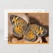 Bekleidung und Geschenke für braune und orangefarb Postkarte (Vorne/Hinten)