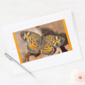 Bekleidung und Geschenke für braune und orangefarb Rechteckiger Aufkleber (Umschlag)