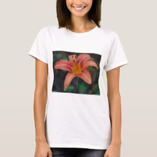 Bekleidung und Geschenke für Tawny Taglilie T-Shirt