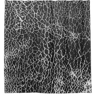 Beklemmte Overlay-Struktur von Krokodil oder Schla Duschvorhang