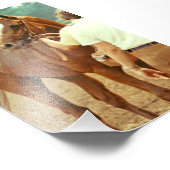 Bekräftigt durchdacht Racehorse 1978 Fotodruck (Ecke)