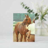 Bekräftigt durchdacht Racehorse 1978 Postkarte (Stehend Vorderseite)
