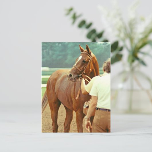 Bekräftigt durchdacht Racehorse 1978 Postkarte (Stehend Vorderseite)