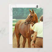 Bekräftigt durchdacht Racehorse 1978 Postkarte (Vorne/Hinten)