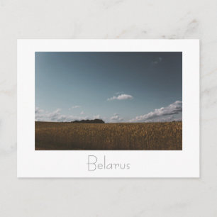 Belarus Б л а е с Landschaftsbild Natur Postkarte