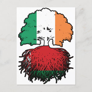 Belarus Belarusian Irish Ireland Tree Roots Flag Postkarte