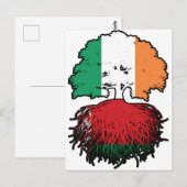 Belarus Belarusian Irish Ireland Tree Roots Flag Postkarte (Vorne/Hinten)