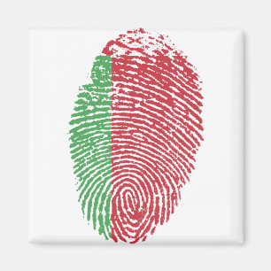 Belarus Flaggen Fingerabdruck Land Prix Magnet