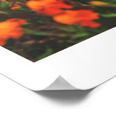 Belarus Grüße Naturarchitektur Poster (Ecke)