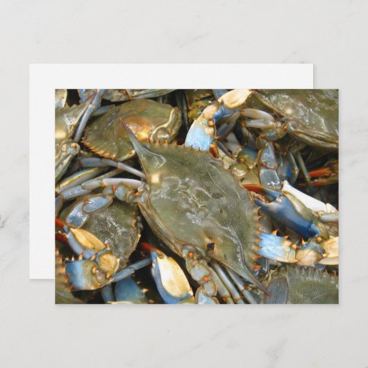 Belästige mich nicht...Ich bin Crabby! Postkarte (Vorne/Hinten)