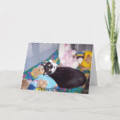 BELATED BIRTHDAY CARD KARTE (Rückseite)