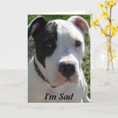 Belated Birthday Card with Pittbull Dog Karte (Gelbe Blume)