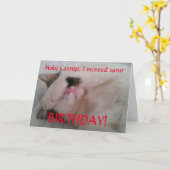 Belated Birthday Cat Spaß Karte (Gelbe Blume)