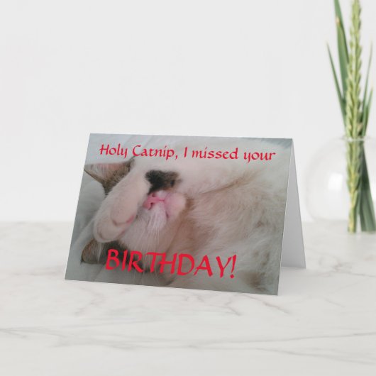 Belated Birthday Cat Spaß Karte (Vorderseite)