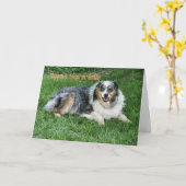 Belated Birthday-customize Karte (Gelbe Blume)