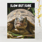 BELATED BIRTHDAY FUNNY TURTLE Grußkarte Karte (Gelbe Blume)