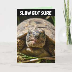 BELATED BIRTHDAY FUNNY TURTLE Grußkarte Karte