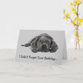 BELATED BIRTHDAY: HATTE NICHT VERGESSEN: ZU LAZY, KARTE (Gelbe Blume)